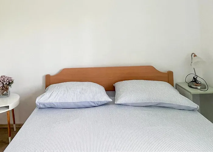 Appartement In With Wifi Maslenica