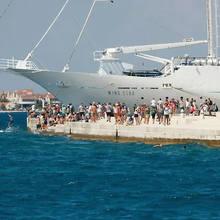 In With Wifi * Maslenica